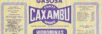 133006370-Fonte Caxambu