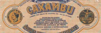 133008693-Fonte Caxambu