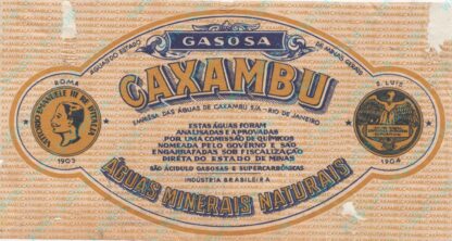 133008693-Fonte Caxambu