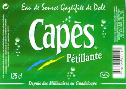 15002897-Capès