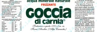 21000199-Goccia di carnia