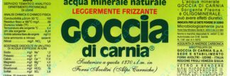 21000201-Goccia di carnia