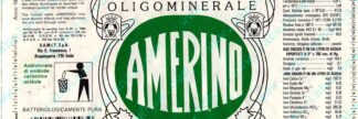 21000546-Amerino