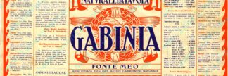 21000848-Gabinia