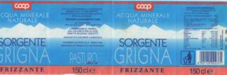 21000938-Sorgente Grigna