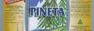 21001150-Pineta