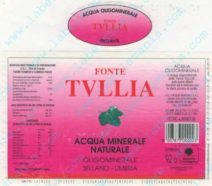 21001506-Fonte Tullia