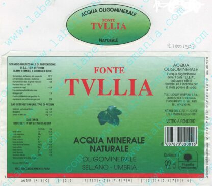 21001507-Fonte Tullia