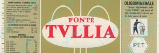 21001508-Fonte Tullia