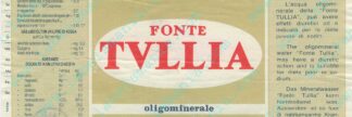 21001510-Fonte Tullia