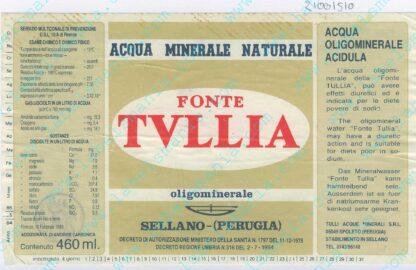 21001510-Fonte Tullia