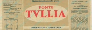 21001511-Fonte Tullia