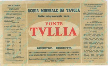 21001511-Fonte Tullia