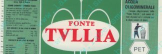 21001513-Fonte Tullia