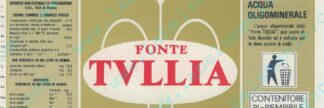 21001514-Fonte Tullia