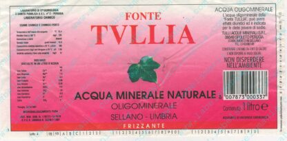 21001516-Fonte Tullia