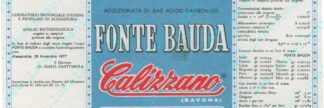 21001651-Fonte Bauda