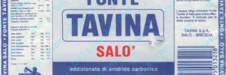 21001821-Fonte Tavina