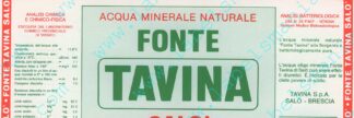 21001824-Fonte Tavina