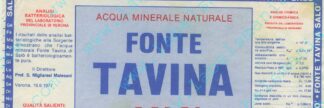 21001828-Fonte Tavina