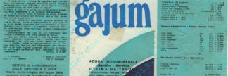 21001925-Gajum