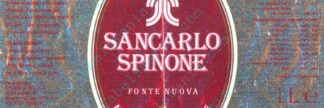 21003141-Sancarlo Spinone Fonte Nuova