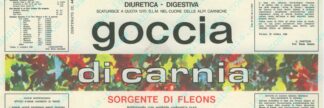 21003353-Goccia di carnia