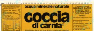 21003372-Goccia di carnia