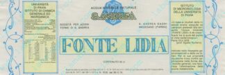 21003505-Fonte Lidia