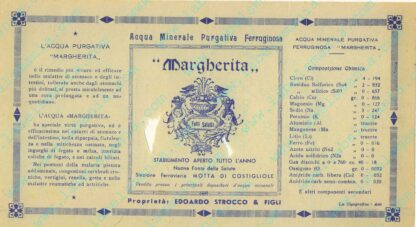 21003833-Margherita