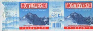 21003925-Montinverno