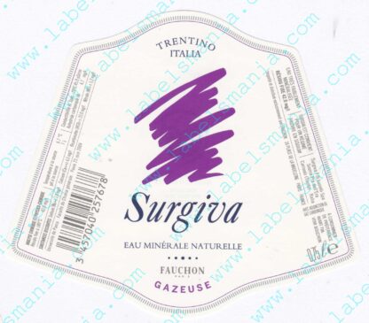 21006538-Surgiva