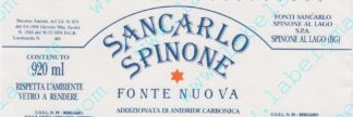 21007734-Sancarlo Spinone Fonte Nuova