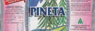 21007780-Pineta