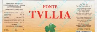 21009022-Fonte Tullia