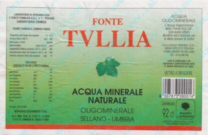 21009023-Fonte Tullia