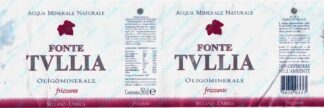 21010710-Fonte Tullia