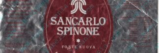 21012248-Sancarlo Spinone Fonte Nuova