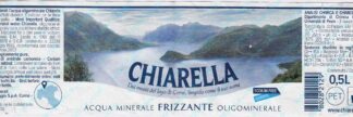 21013373-Chiarella