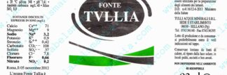 21013588-Fonte Tullia