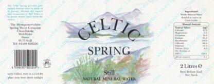 36008221-Celtic Spring