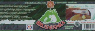 42013674-Brusnianka