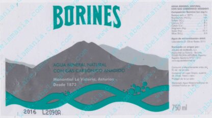 44010363-Agua de Borines