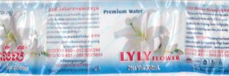 94014542-Lyly Flower