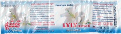 94014542-Lyly Flower