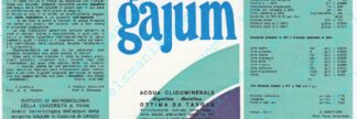 21016171-Gajum