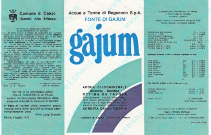 21016171-Gajum