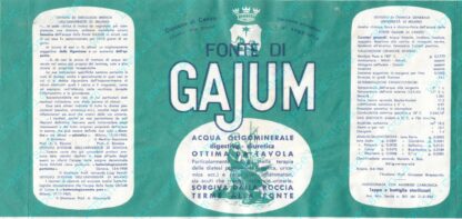 21016800-Gajum