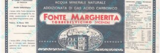 21016803-Fonte Margherita