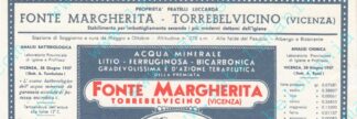 21016804-Fonte Margherita